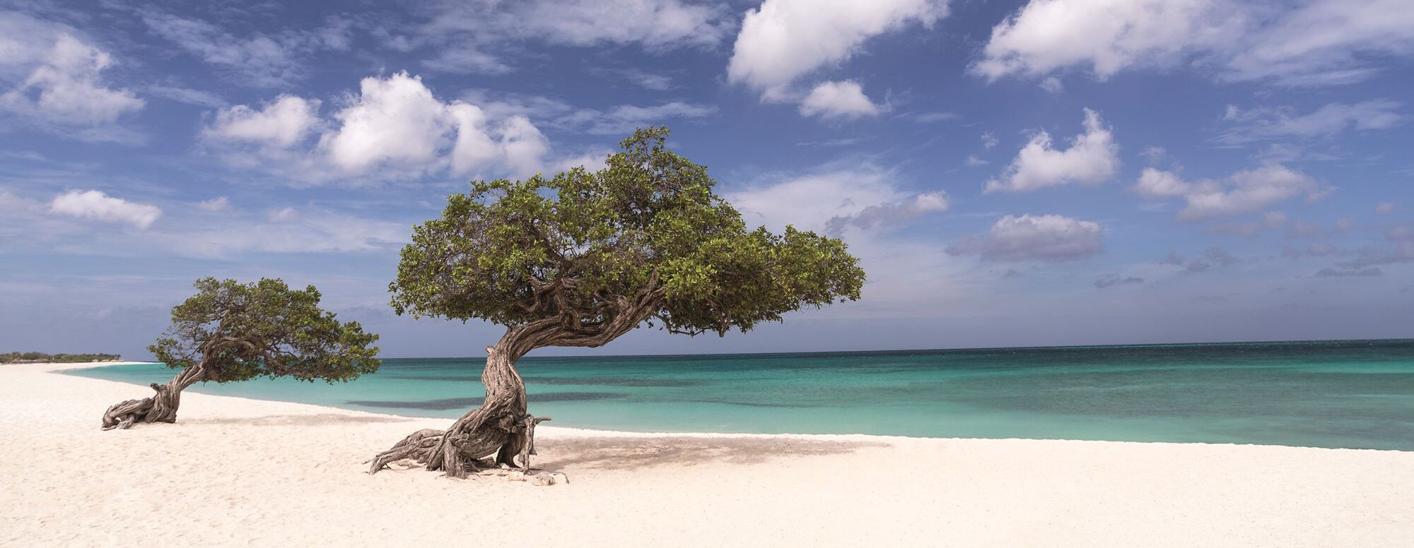 The Ritz-Carlton, Aruba